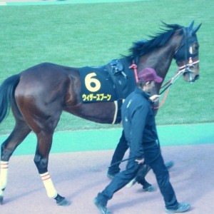 ４戦目パドック