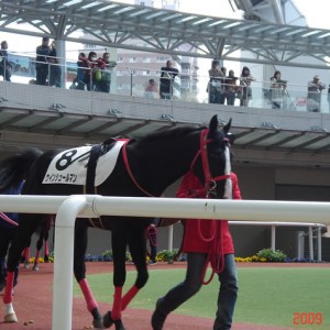 阪神競馬場3/29-1