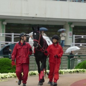 ４月２５日　初出走