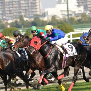 去勢後復帰戦の直線