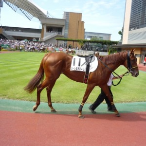 ０９，９，２１　３歳未勝利