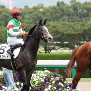 阪神４R　新馬戦