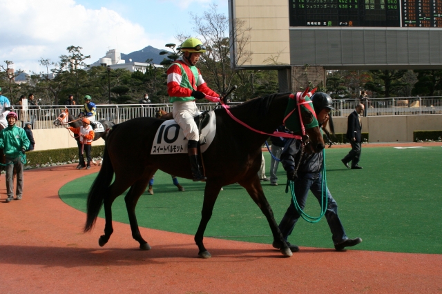 12/24 小倉5R 牝馬・500万下 ダート1700ｍ スイートベルモット