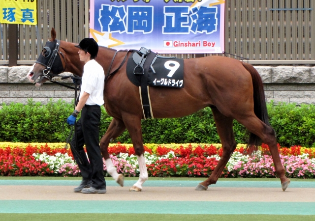 麦秋Sパドック イーグルドライヴ