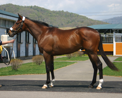 フェバリットアワー フェバリットアワー