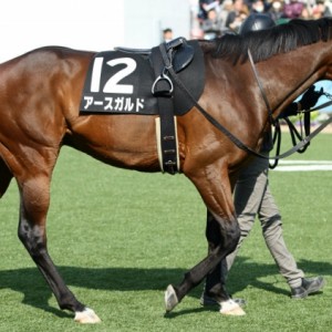 2014.03.09 富里特別パドック