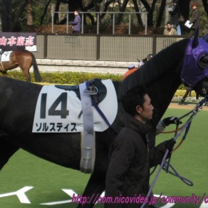 ２月６日 ３歳未勝利