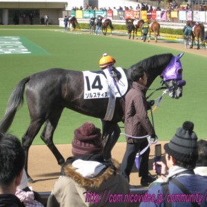 ２月６日 ３歳未勝利