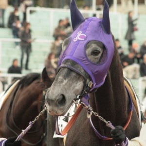 2009/12/13 中京競馬場　２歳未勝利