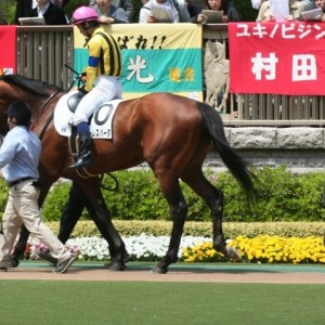 4月24日　東京　未勝利戦　パドック