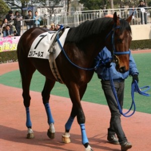 第１回小倉第５日５Ｒ４歳以上５００万下２４００Ｍダート
