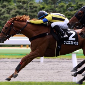 2011年6月26日　遊楽部特別　レース