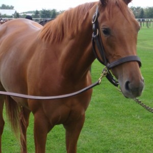 2009年9月6日牧場見学ツアー①