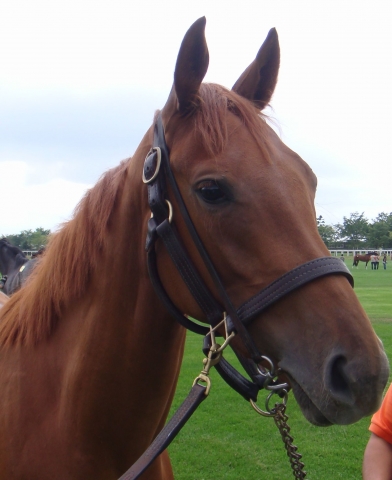 2009年9月6日牧場見学ツアー③ クリスマスキャロル