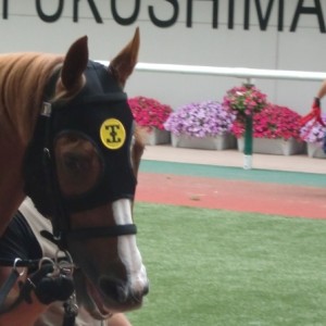 2012.07.01 福島競馬４Rパドック