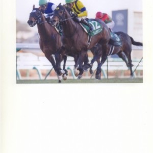 フェデラリスト