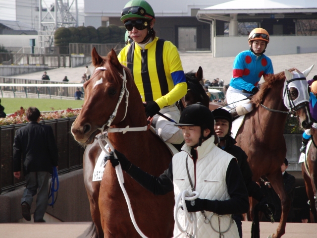 東京　500万条件戦返し馬 ヤングアットハート