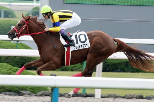 未勝利戦　初勝利 フライトオブスワン