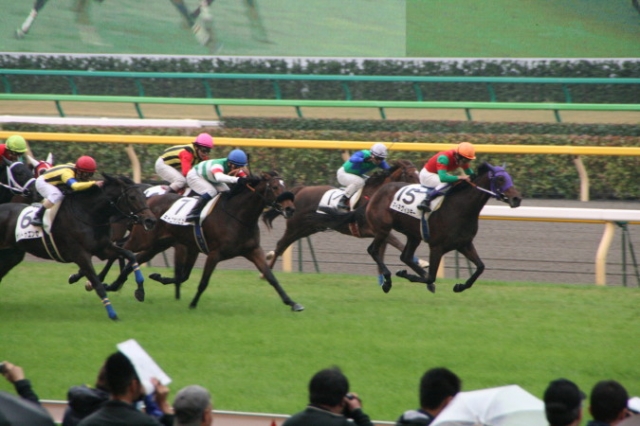 新馬戦・レース３ キャニオンビュー