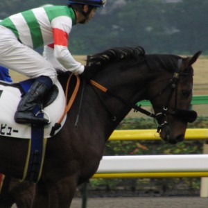 2009/10/25  新馬戦