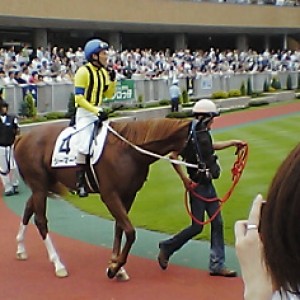 未勝利戦（２走目）パドック＠新潟