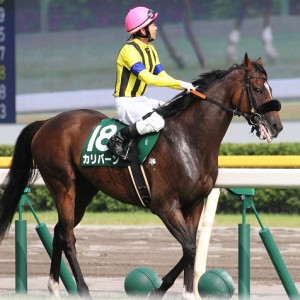 2013/08/11　関屋記念　返し馬