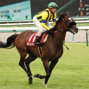 2013/09/22　オールカマー　返し馬