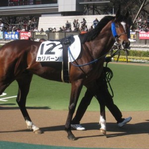 2010年2月20日　東京７R　