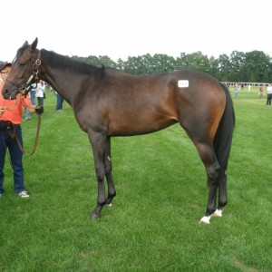 社台ツアーにて2