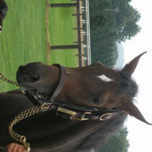 社台ツアーにて1