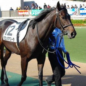 2009/11/21東京5Rメイクデビュー東京芝１４００Ｍ