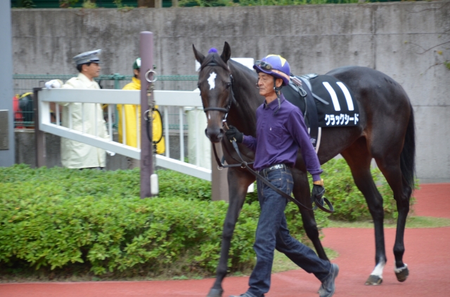亀田特別パドック クラックシード