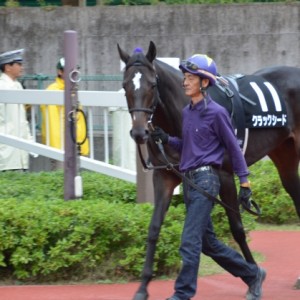 亀田特別パドック