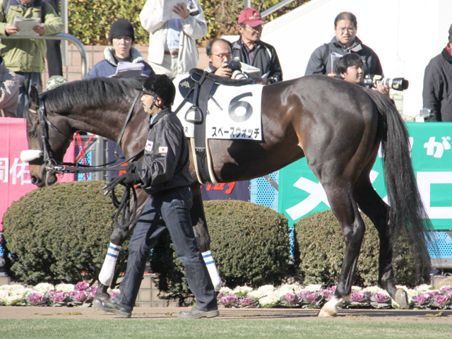 ｳｵｯﾁ スペースウォッチ