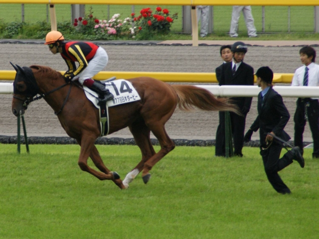 日本ダービー（本馬場入場） リルダヴァル