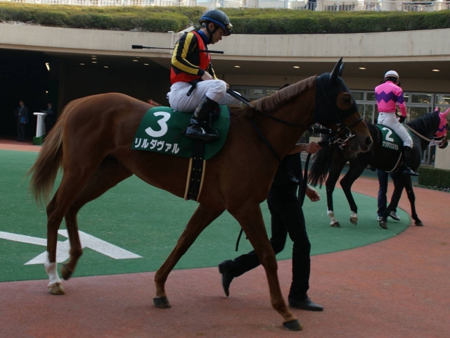 小倉大賞典（鞍上；リスポリ騎手） リルダヴァル
