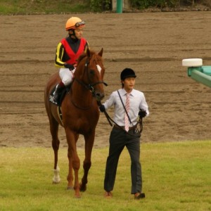 韓国馬事会杯