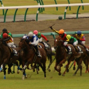 韓国馬事会杯