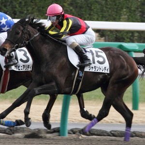 2013/01/06　4歳上1000万下