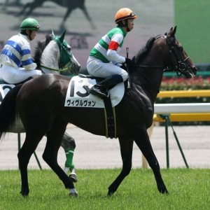 未勝利戦返し馬