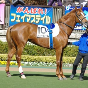 2010/02/07　東京７Ｒ　３歳５００万下