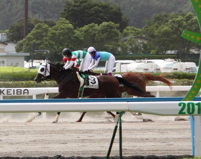 小倉3歳未勝利戦　 ピンクアリエス