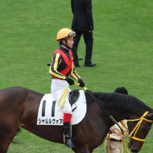 １１月１日　京都５Rメイクデビュー