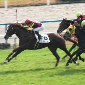 メイクデビュー京都　ゴール前