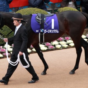 2012年12月23日　有馬記念