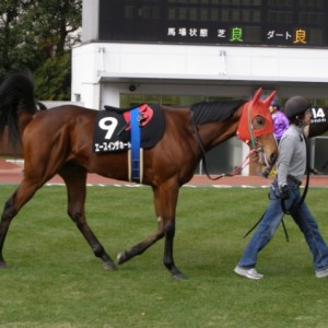 エースインザホール　中京競馬場　２