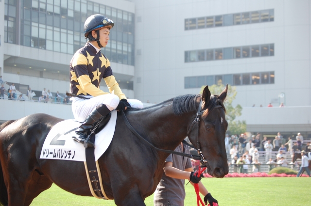2009年11月1日未勝利戦３京都競馬場パドックにて ドリームバレンチノ