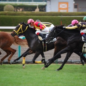 2009年12月12日２歳５００万下阪神競馬場