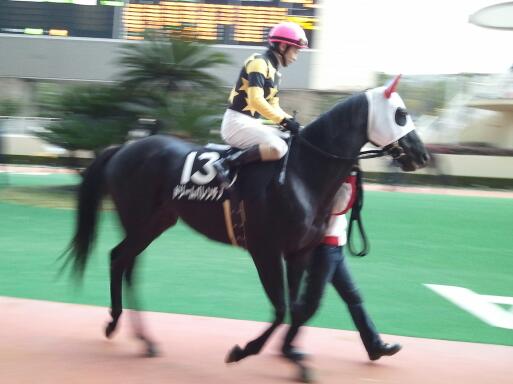 アンコールSパドック勝浦正樹騎手と ドリームバレンチノ