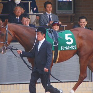 中日新聞杯２